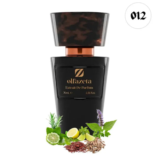 Parfum Homme essence 30% - 70 ml N°12